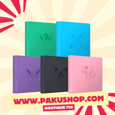 Grand Classeur Pokemon Evoli Evolution