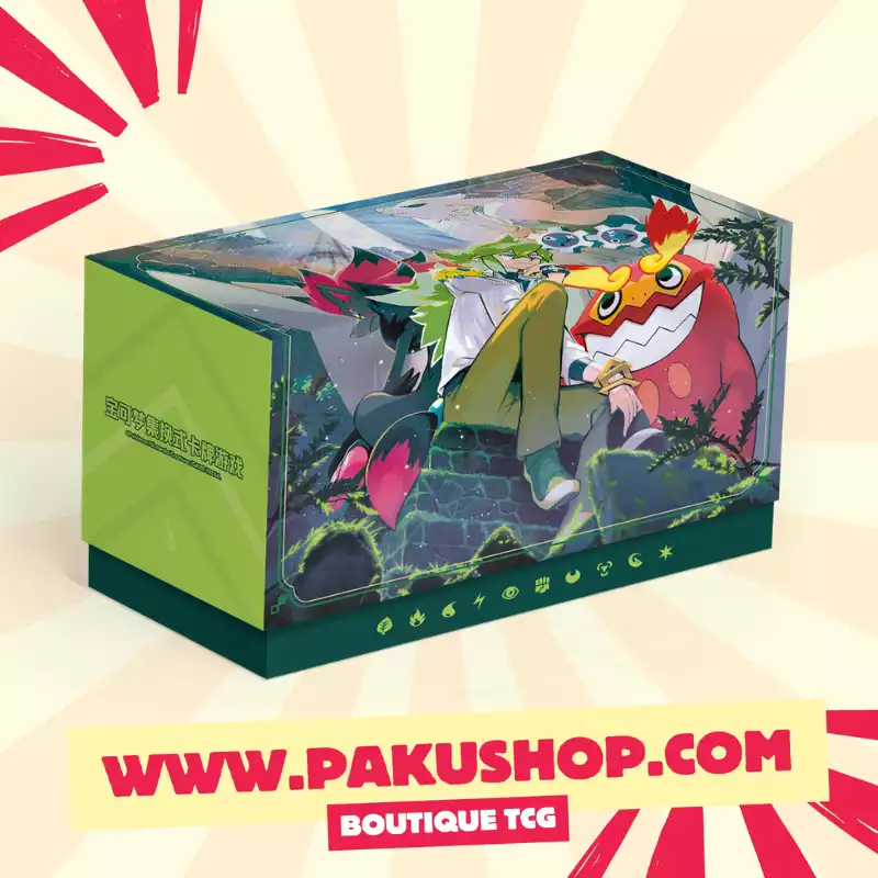 Coffret N Pokémon Chinois